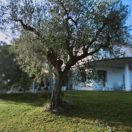 Villa Margherita 新乔瓦尼提蒂诺 外观 照片