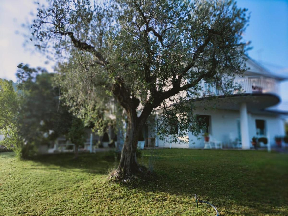 Villa Margherita 新乔瓦尼提蒂诺 外观 照片